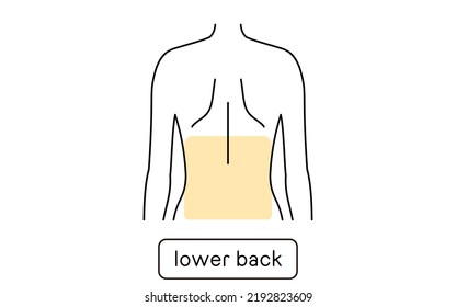 Hair removal Clip art for women by part Lower back