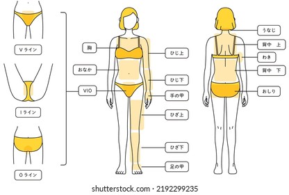 Hair Removal Illustrations for Women Full Body and VIO - Translation: V-line, I-line, O-line, breast, tummy, elbow, elbow, back of hand, knee, knee, back of leg, nape of neck, upper back, armpit, lowe