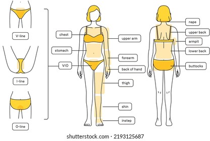 Illustration Of Female Chest Upper Body Royalty Free SVG, Cliparts