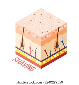 Hair removal isometric composition with 3d diagram of human skin with layers veins and hair roots vector illustration