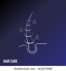 Hair root. Hair Care Process. A picture about the procedures for strengthening hair. Image to use for shampoos and hair balms