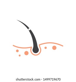 hair root icon vector illustration design template