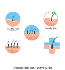 hair root icon vector illustration design template