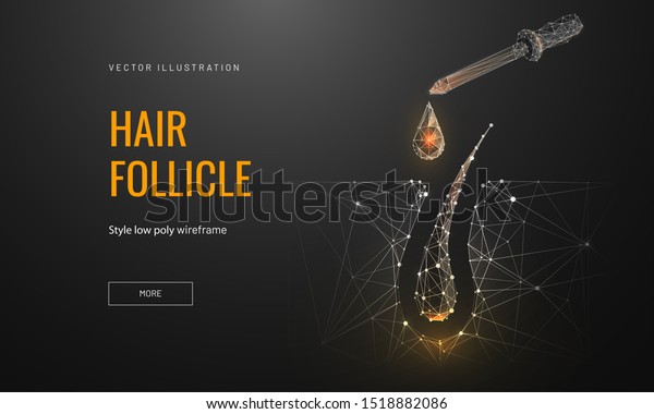Hair roots treatment low poly landing page\
template. 3d pipette with drop near follicle polygonal\
illustration. Head skin nourishing oils promo banner. Professional\
hair care services homepage\
design