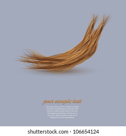 Hair Salon design. haircut or hair salon symbol. Vector