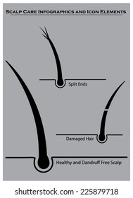 Hair and scalp care info graphics and icon elements