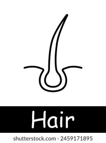 Hair set icon. Cut, cream, shampoo, trichology, moisturizing, shine, skin itching, volume, cream, nutrition, strengthening, split ends, salon procedures, fragility, neomorphism. Hair care concept.