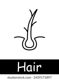 Hair set icon. Cut, cream, shampoo, trichology, moisturizing, shine, skin itching, volume, cream, nutrition, strengthening, split ends, salon procedures, fragility, neomorphism. Hair care concept.