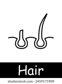 Hair set icon. Cut, cream, shampoo, trichology, moisturizing, shine, skin itching, volume, cream, nutrition, strengthening, split ends, salon procedures, fragility, neomorphism. Hair care concept.