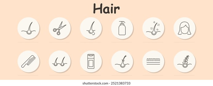 Hair set icon. Hair follicle, scissors, root, shampoo, healthy scalp, person with hair, comb, restoration, conditioner, split ends, wavy hair, braid.