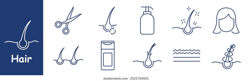 Icono de conjunto de cabello. Folículo piloso, tijeras, productos de cuidado, tratamiento del cuero cabelludo, puntas abiertas, champú, estructura, cutícula, mujeres sanas, peinado, crecimiento.