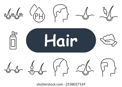 Hair set icon. Hair follicle, scissors, comb, shampoo, conditioner, curly, scalp, care. Icons related to hair growth, cutting, and care products for hair maintenance