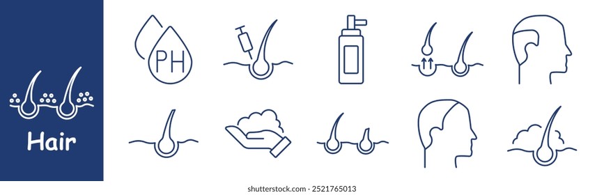 Hair set icon. Scalp care, pH balance, shampoo bottle, hair treatment, follicles, growth, healthy scalp, foam, loss, scalp hydration, nourishment