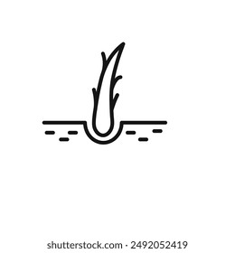 Colección de contorno de extremos de pelo dividido en fondo blanco y negro