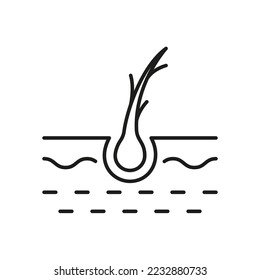 Hair Split Ends Line Icon. Damage Follicle Black Outline Pictogram. Flake Hair Bulb Problem Linear Icon. Editable Stroke. Isolated Vector Illustration.