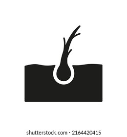 Hair Split Ends Silhouette Icon. Damage Follicle Black Pictogram. Flake Hair Bulb Problem Icon. Isolated Vector Illustration.