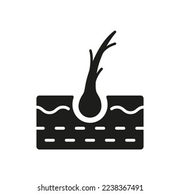 Hair Split Ends Silhouette Icon. Damage Follicle Black Pictogram. Flake Hair Bulb Problem Icon. Isolated Vector Illustration.