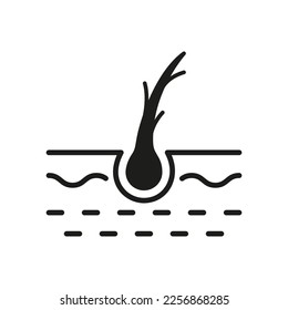 Hair Split Ends Silhouette Icon. Damage Follicle Black Pictogram. Flake Hair Bulb Problem Icon. Isolated Vector Illustration.