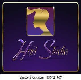 Hair Studio vector design