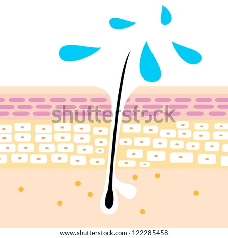 Hair Tonic Vector Illustration Stock Vector (Royalty Free) 122285458 ...