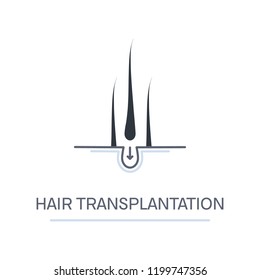 Hair transplantation logo template with three follicles. Hair restoration concept. Alopecia medical design for clinics and diagnostic centers. 