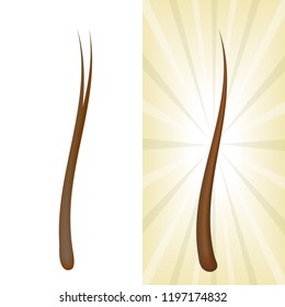 Hair treatment concept. split ends and healthy hair. Hair repair. vector illustration