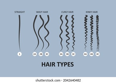 Hair type classification. Straight, wavy, curly, kinky hair 
