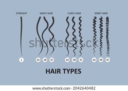 Hair type classification. Straight, wavy, curly, kinky hair 