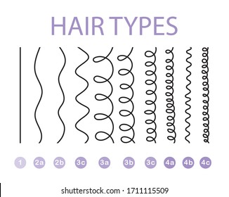 Hair Type. List Of All Hair Types. Table For Hairdressers. Vector Illustration.