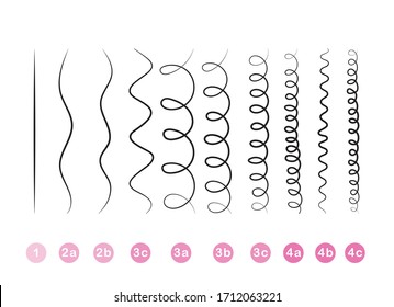 Hair Type. List Of All Hair Types. Table For Hairdressers. Vector Illustration.