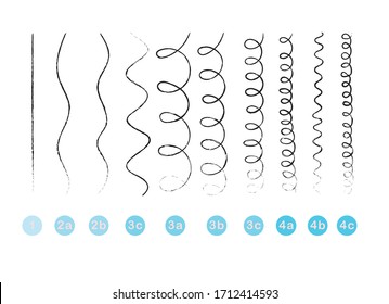 Hair Type. List Of All Hair Types. Table For Hairdressers. Vector Illustration.