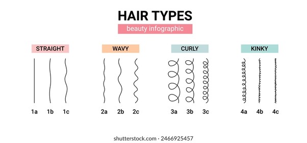 Clasificación: recto, ondulado, rizado, rizado. Esquema de diferentes tipos de cabello. Método de chica rizada. Ilustración vectorial