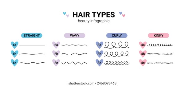 hair types beauty Classification. straight, wavy, curly, kinky. Scheme different types of hair. Curly girl method. Vector illustration