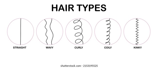 Hair types. Classification hair types - straight, wavy, curly, coily, kinky. Scheme of different types of hair. Vector illustration on white background.