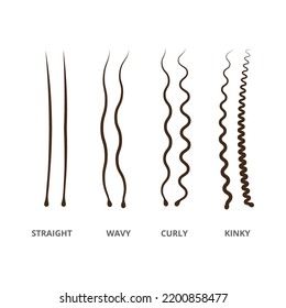 Hair types set. Congenital and acquired varieties of wavy and curly human and animal hair with straight and curly vector design