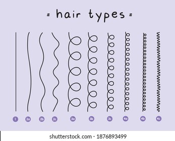 hair types hair transition curly girl 