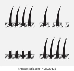 hair vector graphic icon logo