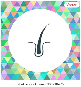 Hair vector icon.