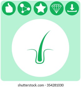 Hair vector icon.