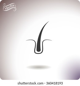Hair vector icon.
