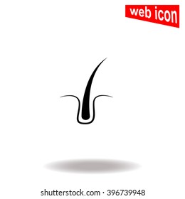 Hair vector icon.