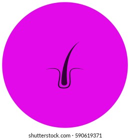 Hair vector  icon
