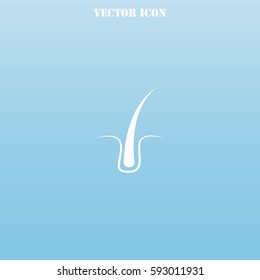 Hair vector  icon.