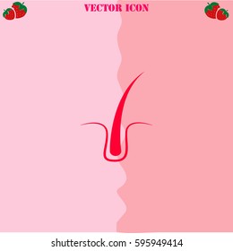 Hair vector  icon. Strawberry Background.