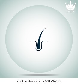 Hair  vector illustration.