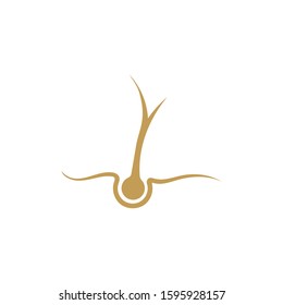 Hair wave logo vector icon template