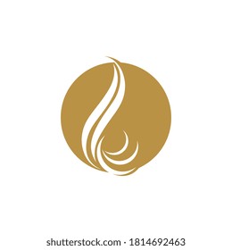 Plantilla de icono del vector del logotipo de la onda del pelo