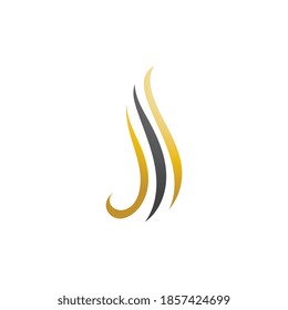 Plantilla de icono del vector del logotipo de la onda del pelo