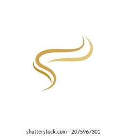 Plantilla de icono del vector del logotipo de la onda del pelo