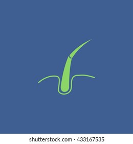 Hair, Web icon. vector design. Flat design style eps 10